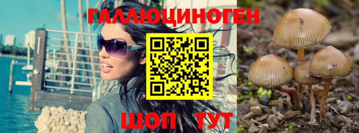 купить   Галлюциногенные грибы Psilocybine cubensis  Вход с VPN  Киселёвск  Галлюциногенные грибы мухоморы 