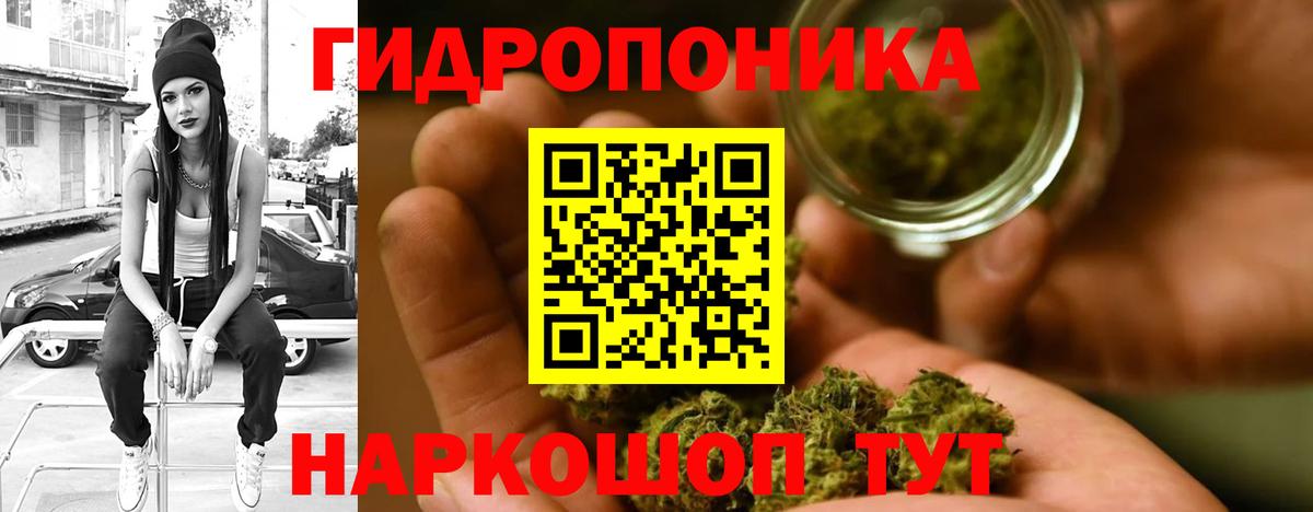 Конопля конопля Киселёвск